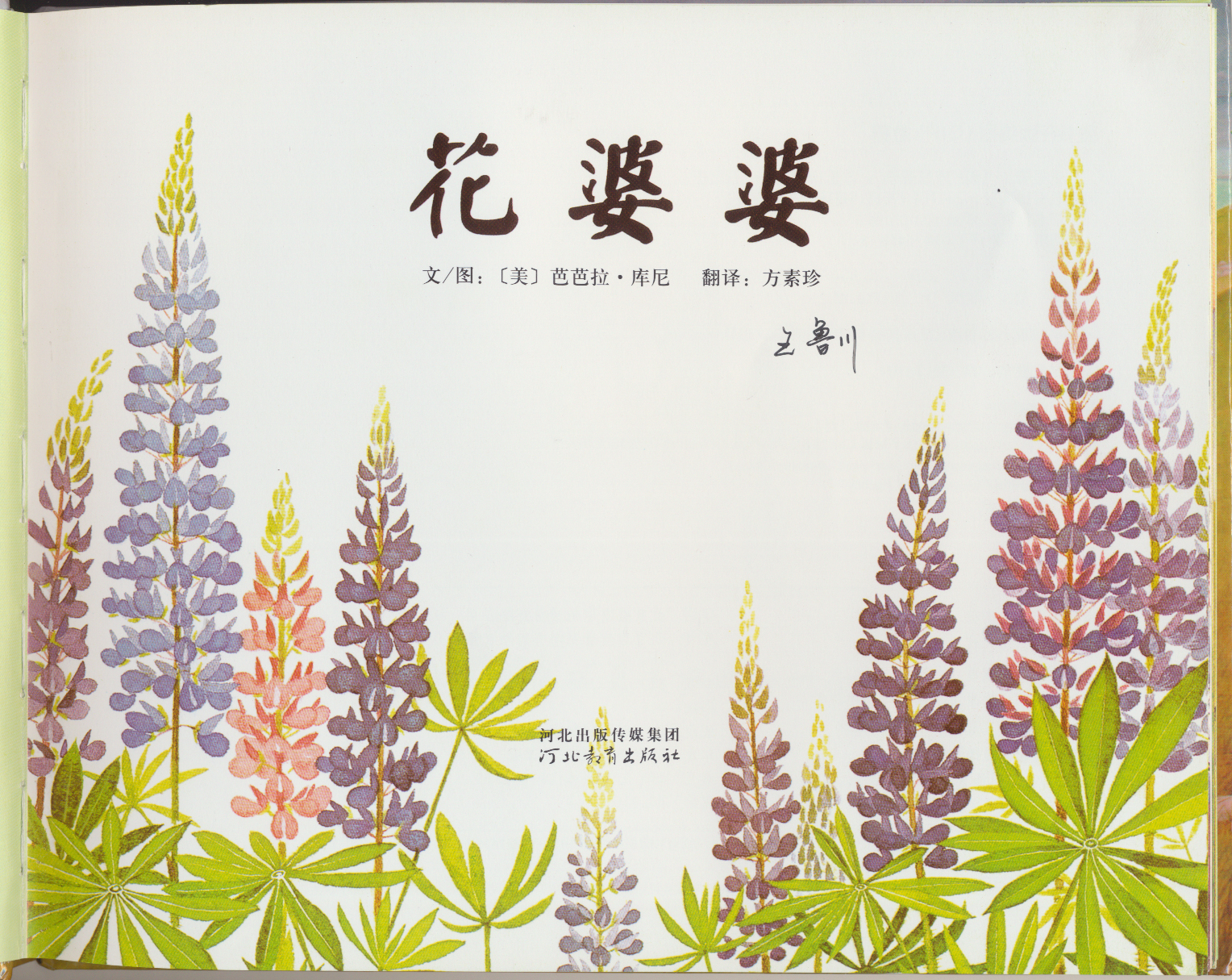 花婆婆 (34),绘本,绘本故事,绘本阅读,故事书,童书,图画书,课外阅读